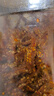 旅大壹味 香辣小魚(yú)干銀魚(yú)仔一斤/桶高蛋白海味零食 休閑零食解饞海鮮 曬單實(shí)拍圖
