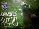 三元極致4.0g原生高蛋白純牛奶整箱250ml*24盒 135mg原生高鈣  曬單實(shí)拍圖