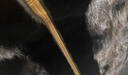 Raidy Boer/雷迪波爾【金絲絨】男雙頭鷹拉鏈偏厚夾克外套3042-70 黑色 175/50/L 曬單實(shí)拍圖
