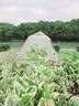 探險者（TAN XIAN ZHE）六角自動(dòng)充氣帳篷戶(hù)外野營(yíng)過(guò)夜露營(yíng)裝備全套便攜式折疊厚防曬 30s快充【兩門(mén)兩窗】+門(mén)廳桿+防潮墊 曬單實(shí)拍圖