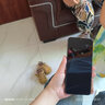 vivo Y37c 6GB+128GB 墨綠 5500mAh大電池 SGS五星整機抗跌耐摔認證 150%大音量 老人機 AI手機 曬單實(shí)拍圖