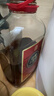 勁牌 中國勁酒 35度 5L 大桶量販裝 雙十一 自飲 送禮 曬單實(shí)拍圖