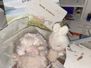 海灣兔Bunnies By The Bay小兔公仔新款材質(zhì)毛絨玩具玩偶生日禮物 100234 白色小兔 15cm【可代寫(xiě)賀卡】 曬單實(shí)拍圖