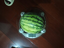 正宗冰糖8424麒麟西瓜新鮮采摘脆甜多汁有籽無籽隨機(jī)發(fā) 西瓜 5-7斤(1-2人) 曬單實(shí)拍圖