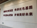 康爾馨希爾頓五星級酒店枕頭 抗菌純棉纖維枕成人家用單人枕頭芯 白色 中高枕(74*48cm) 單只 曬單實拍圖