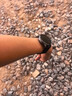 華為（HUAWEI）手表WATCH GT 5【咨詢(xún)享優(yōu)惠】運動(dòng)智能兩周續航藍牙通話(huà)體溫心率血氧健康監測送男女朋友禮物pro4 46mm幻夜黑【皮表帶+貼膜】 曬單實(shí)拍圖