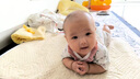 巴厘小豬嬰兒衣服夏季薄款女寶公主哈衣莫代爾短袖新生兒ins風(fēng)寶寶連體衣 淺風(fēng)棲林 80cm 曬單實(shí)拍圖