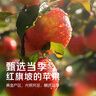 京覓新疆阿克蘇冰糖心厚切蘋(píng)果干無(wú)添加零食軟糯孕婦兒童獨立包裝618g 曬單實(shí)拍圖