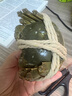 【活蟹】陽澄逍遙 太湖大閘蟹全母2.8-3.1兩8只鮮活螃蟹現(xiàn)貨河蟹生鮮水產(chǎn)禮盒源頭直發(fā) 曬單實拍圖