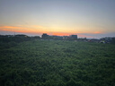 百雀羚（PECHOIN）多肽聚膠光感面膜盒裝*2膠原水光抗皺補(bǔ)水免洗品質(zhì)國貨 曬單實(shí)拍圖