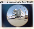 LOMOGRAPHYTiger CN ISO 200 110 彩色負片膠卷（一卷或三卷） 彩色 三卷 曬單實(shí)拍圖