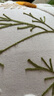 微光里 沙發(fā)抱枕靠枕頭小清新雛菊抱枕套含芯北歐ins風(fēng)客廳靠墊床頭靠枕 小菊抱枕45cm【含高彈內芯】 曬單實(shí)拍圖