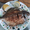 翔泰海南深海金鯧魚(yú)700g 2條 燒烤 火鍋 生鮮魚(yú)類(lèi) BAP認證 海鮮水產(chǎn) 曬單實(shí)拍圖