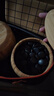 勝旅圍棋棋盤(pán)套裝五子棋兒童361顆19路棋牌入門(mén)圍棋套裝 曬單實(shí)拍圖