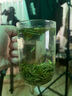文新綠茶2025新茶手工頭采信陽(yáng)毛尖特級75g明前罐裝教師節送禮 曬單實(shí)拍圖
