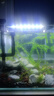 坤寧王 亞甲基藍魚藥魚缸殺菌消毒溶液爛身爛尾白點凈水霉病水族魚專用 曬單實拍圖