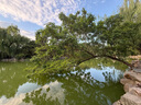 高吉星dha孕婦燕窩酸藻油專用哺乳期孕早中晚期產(chǎn)后維生素亞麻酸葉黃素 曬單實拍圖