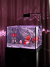 SEASTAR四方缸魚(yú)缸客廳家用超白玻璃底濾免換水生態(tài)空氣缸鋁合金架蘭壽缸 黑（60*60*88.3/45cm) 鋁合金柜 曬單實(shí)拍圖