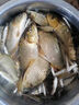 川澤一體成型夜光漂咬鉤變色高靈敏鯽魚(yú)漂醒目浮漂鰱鳙大物電子夜釣漂 升級款PL5-3(主攻鯽鯉)吃鉛2.5g 咬鉤變色款 曬單實(shí)拍圖
