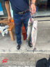 夢(mèng)輝一發(fā)PRO緩沉顫沉仿生沉水鉛筆釣翹嘴海鱸鳡魚(yú)鉛筆路亞餌 黑絲白條 15克 曬單實(shí)拍圖