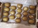佳沛（zespri）新西蘭  陽光金果18粒原箱單果重173-204g 獼猴桃 中秋水果禮盒 曬單實拍圖