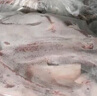 繽鮮 內(nèi)蒙 分割半只羊凈重10斤裝禮盒款 國(guó)產(chǎn)生鮮羊肉-源頭直發(fā) 曬單實(shí)拍圖