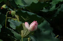 適馬（SIGMA）16-300mm F3.5-6.7 DC OS 半畫幅 遠(yuǎn)攝大變焦長(zhǎng)焦鏡頭 一鏡走天下 風(fēng)光人像 富士X口 濾鏡禮包套裝 曬單實(shí)拍圖