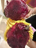 京鮮生 廣西樹熟紅心火龍果4.5斤裝單果400g  生鮮水果 源頭直發(fā) 曬單實拍圖
