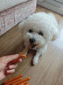 饞小汪狗狗零食火腿腸寵物狗零食狗香腸幼犬成犬泰迪金毛全犬種寵物零食 【升級雙提桶裝】120支 牛肉味 曬單實(shí)拍圖