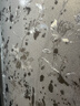 晴畫(huà)加厚玻璃防窺膜玻璃貼紙透光不透人衛生間窗戶(hù)貼膜芙蓉花90*200cm 曬單實(shí)拍圖