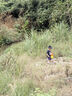 飛利浦（PHILIPS）電動(dòng)剃須刀經(jīng)典3系 干濕雙剃刮胡刀 配彈出式鬢角修剪器 送男友送老公 父親生日禮物 曬單實(shí)拍圖