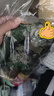 解放公仔迷彩小熊玩偶毛絨兵哥哥女友娃娃退伍紀念軍人裝軍戀禮物 陸j  熊30cm【送體能服+腰帶】 普通款  定制聯(lián)系客服 曬單實(shí)拍圖