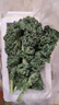 羽衣甘藍新鮮生鮮蔬菜嫩葉甘蘭芥藍西餐沙拉榨汁減肥減脂 羽衣甘藍減脂嘗鮮裝1斤 曬單實拍圖