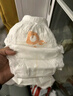 爸爸的選擇（Daddy's Choice）Daddy's Choice極薄2.0拉拉褲4XL34片(≥20kg)大號 曬單實拍圖