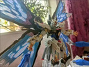 HKDA大班8802MB強襲自由高達模型MG白雪姬菲尼克斯掉毛飛翼獨角獸手辦 約50CM)MB強襲自由+光之翼+地臺+ 單模型+剪鉗+ED燈(老玩家首選) 曬單實(shí)拍圖