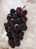云南夏黑葡萄5斤新鮮應當季無(wú)籽葡萄黑加侖提子孕婦水果整箱4 云南夏黑葡萄 1斤 曬單實(shí)拍圖
