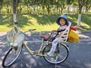 沽上萬寶自行車兒童座椅2-8歲山地車電動電瓶車寶寶后座椅幼中大童后坐椅 自行車款【五點式】米白+茶 曬單實拍圖