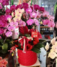 Only you【兩小時(shí)達(dá)】蝴蝶蘭帶花苞花劍花盆真花蘭花盆栽開業(yè)喬遷佛堂供花 6株紫色（瓷盆隨機(jī)） 曬單實(shí)拍圖