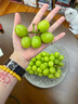 有機水果陽(yáng)光玫瑰葡萄晴王應季9-10月時(shí)令新鮮采摘【單果14-17g】 【陽(yáng)光玫瑰2kg】嘗鮮裝4斤 曬單實(shí)拍圖
