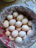 無(wú)抗鮮雞蛋 谷物喂養鮮雞蛋 50±5克/枚 早餐食材 蛋香味十足 30枚裝 曬單實(shí)拍圖