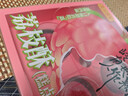 廣州酒家 荔枝酥120g 4個(gè)裝廣州特產(chǎn)嶺南水果造型糕點(diǎn)休閑零食團購伴手禮 曬單實(shí)拍圖
