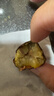 遷西鮮板栗2025年新生板栗大顆粒特選栗子新鮮例子甜栗子河北唐山特產(chǎn) 有機去外皮板栗仁 2斤 大果（約55粒左右/斤） 曬單實(shí)拍圖
