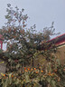 喬安AI監控攝像頭室外家用監控無(wú)線(xiàn)wifi網(wǎng)絡(luò )監控器360度無(wú)死角帶夜視全景旋轉云臺戶(hù)外家用手機遠程 曬單實(shí)拍圖