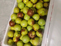 京地達山東沾化冬棗 凈重5斤特大果 單果20g+ 新鮮水果 源頭直發(fā)包郵 曬單實(shí)拍圖