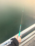 神鯊2.7米四君子鯽魚(yú)竿28調超輕超細魚(yú)竿手竿臺釣竿野釣鯽桿釣竿漁具 曬單實(shí)拍圖