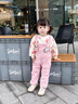 G.duck女寶寶加絨套裝秋冬洋氣2兒童衣服冬季童裝嬰兒背帶褲1歲女童冬裝 粉色 100 cm 曬單實(shí)拍圖