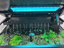 森森金麟超白玻璃魚缸一體缸自循小型懶人家用水族箱LE-380 曬單實拍圖