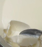 OIDIRE（偶點(diǎn)）酸奶機 家用小型全自動(dòng)恒溫酸奶機酵素機米酒機納豆智能精控溫發(fā)酵機1L大容量不銹鋼內膽 ODI-SA13 經(jīng)典款+陶瓷分杯+贈10小包菌粉 曬單實(shí)拍圖
