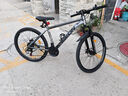 飛鴿鋁合金山地車(chē)禧瑪諾變速單車(chē)自行車(chē)大學(xué)生青少年成人越野車(chē)內走線(xiàn) 鈦金灰【鋁合金車(chē)架+全軸承】 26寸（適合160cm-185cm) 21速禧瑪諾指撥變速線(xiàn)剎 曬單實(shí)拍圖