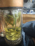 首宴茶葉綠茶特級白茶安吉2025年新茶明前春茶自己喝袋裝口糧茶250g 曬單實(shí)拍圖